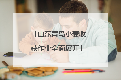 山东青岛小麦收获作业全面展开