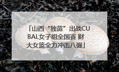 山西“独苗”出战CUBAL女子组全国赛 财大女篮全力冲击八强