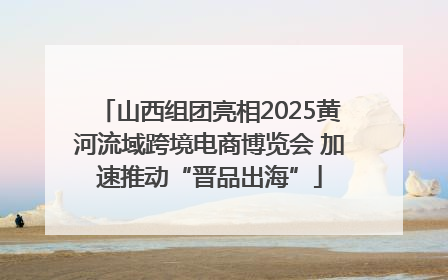 山西组团亮相2025黄河流域跨境电商博览会 加速推动“晋品出海”