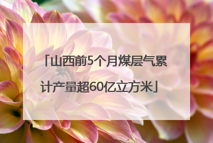山西前5个月煤层气累计产量超60亿立方米