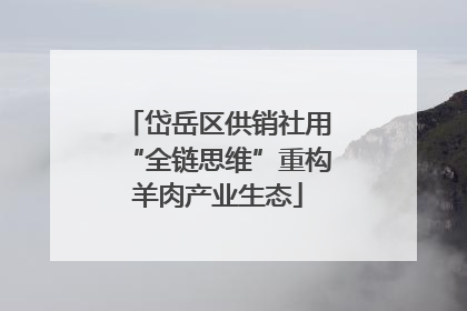 岱岳区供销社用“全链思维”重构羊肉产业生态