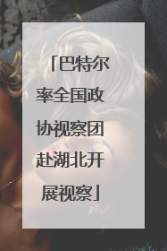 巴特尔率全国政协视察团赴湖北开展视察