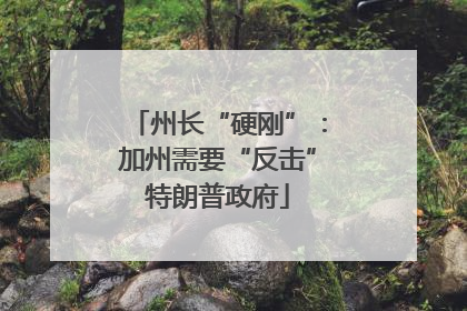 州长“硬刚”：加州需要“反击”特朗普政府