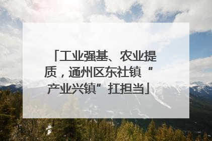 工业强基、农业提质，通州区东社镇“产业兴镇”扛担当