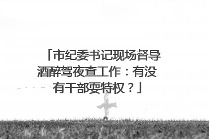 市纪委书记现场督导酒醉驾夜查工作：有没有干部耍特权？