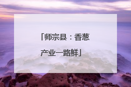 师宗县：香葱产业一路鲜