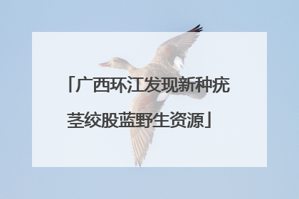 广西环江发现新种疣茎绞股蓝野生资源