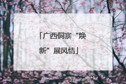 广西侗寨“焕新”展风情