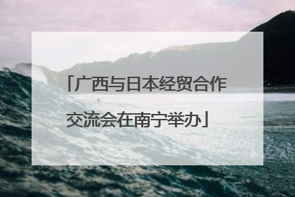 广西与日本经贸合作交流会在南宁举办