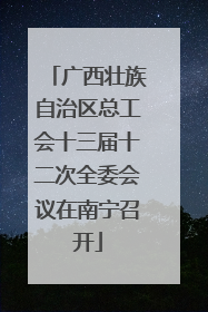 广西壮族自治区总工会十三届十二次全委会议在南宁召开