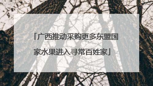 广西推动采购更多东盟国家水果进入寻常百姓家