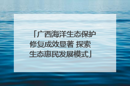 广西海洋生态保护修复成效显著 探索生态惠民发展模式