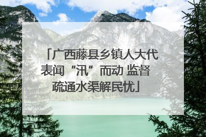 广西藤县乡镇人大代表闻“汛”而动 监督疏通水渠解民忧