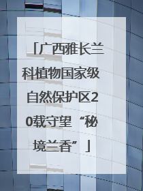 广西雅长兰科植物国家级自然保护区20载守望“秘境兰香”