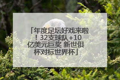 年度足坛好戏来啦！32支球队+10亿美元巨奖 新世俱杯对标世界杯