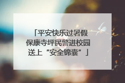 平安快乐过暑假 保康寺坪民警进校园送上“安全锦囊”