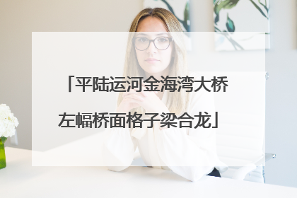 平陆运河金海湾大桥左幅桥面格子梁合龙