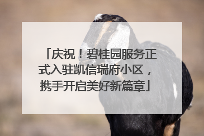 庆祝！碧桂园服务正式入驻凯信瑞府小区，携手开启美好新篇章