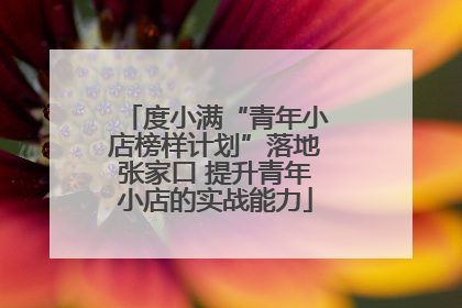 度小满“青年小店榜样计划”落地张家口 提升青年小店的实战能力