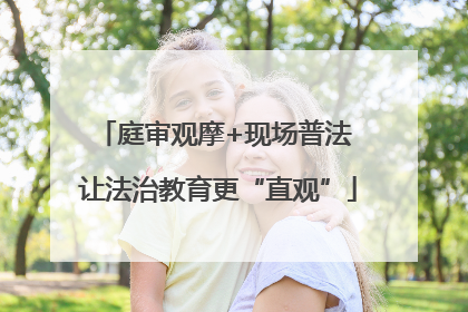 庭审观摩+现场普法 让法治教育更“直观”