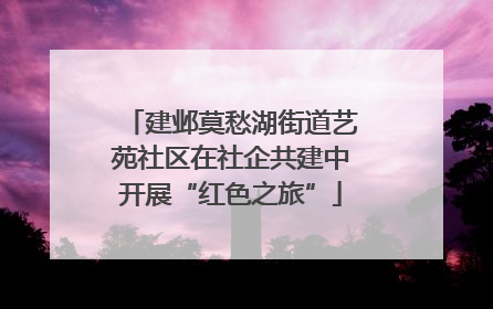建邺莫愁湖街道艺苑社区在社企共建中开展“红色之旅”