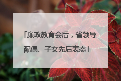 廉政教育会后，省领导配偶、子女先后表态