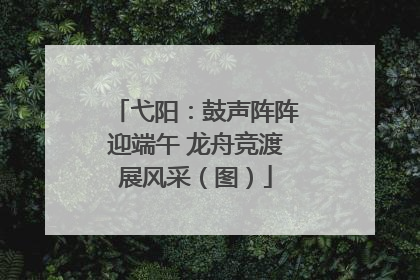 弋阳：鼓声阵阵迎端午 龙舟竞渡展风采（图）