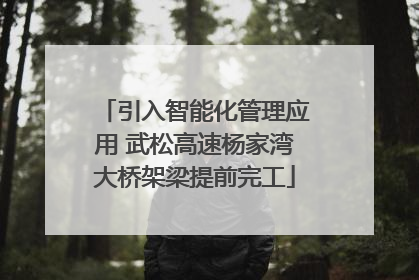 引入智能化管理应用 武松高速杨家湾大桥架梁提前完工