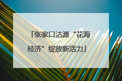 张家口沽源“花海经济”绽放新活力