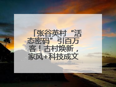 张谷英村“活态密码”引百万客！古村焕新，家风+科技成文旅融合新爆点
