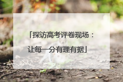 探访高考评卷现场：让每一分有理有据