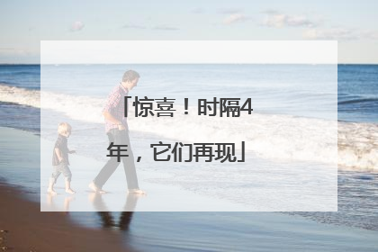 惊喜！时隔4年，它们再现