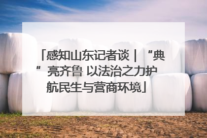 感知山东记者谈｜“典”亮齐鲁 以法治之力护航民生与营商环境