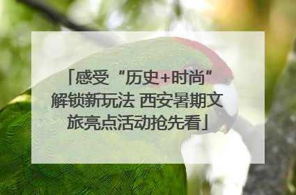 感受“历史+时尚” 解锁新玩法 西安暑期文旅亮点活动抢先看