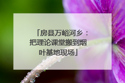 房县万峪河乡：把理论课堂搬到烟叶基地现场