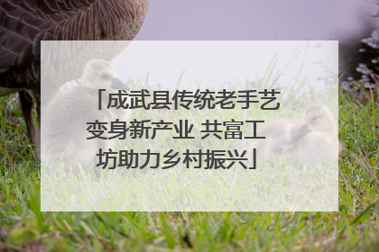 成武县传统老手艺变身新产业 共富工坊助力乡村振兴