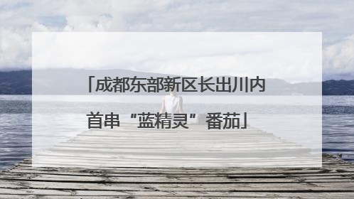 成都东部新区长出川内首串“蓝精灵”番茄