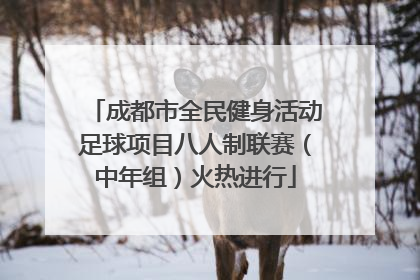 成都市全民健身活动足球项目八人制联赛（中年组）火热进行