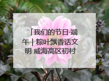 我们的节日·端午｜粽叶飘香话文明 威海高区初村镇端午系列活动亮点纷呈