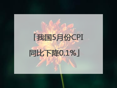 我国5月份CPI同比下降0.1%