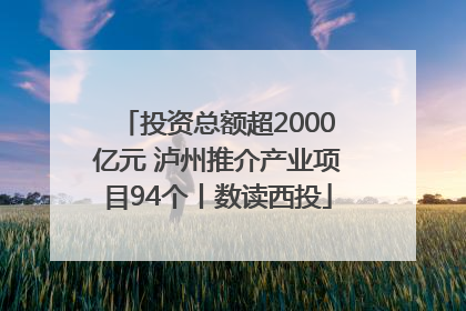 投资总额超2000亿元 泸州推介产业项目94个丨数读西投