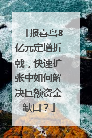 报喜鸟8亿元定增折戟，快速扩张中如何解决巨额资金缺口？