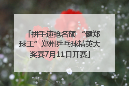 拼手速抢名额 “健郑球王”郑州乒乓球精英大奖赛7月11日开赛