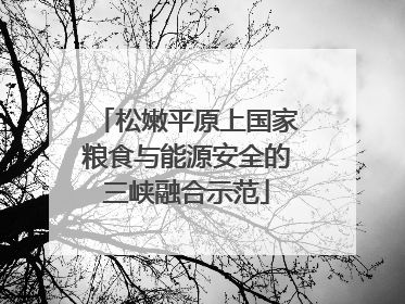 松嫩平原上国家粮食与能源安全的三峡融合示范