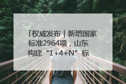权威发布｜新增国家标准2964项，山东构建“1+4+N”标准化创新发展新格局