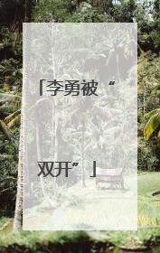 李勇被“双开”