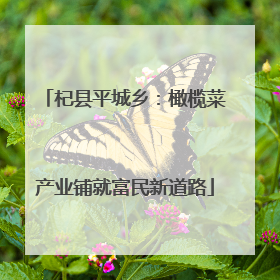 杞县平城乡：橄榄菜产业铺就富民新道路