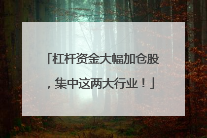 杠杆资金大幅加仓股，集中这两大行业！