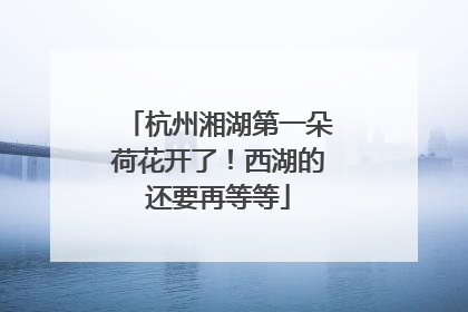 杭州湘湖第一朵荷花开了！西湖的还要再等等