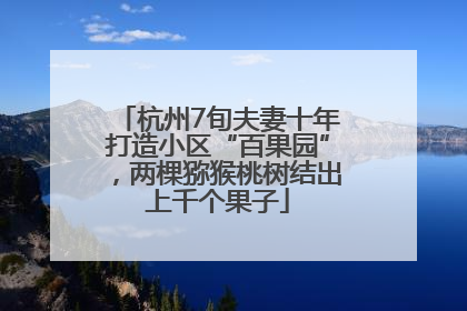杭州7旬夫妻十年打造小区“百果园”，两棵猕猴桃树结出上千个果子